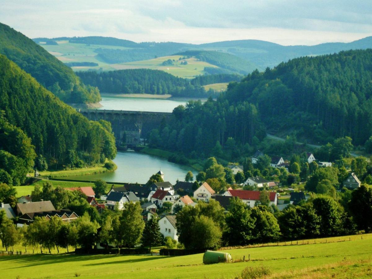 Fewo Blumes Bergfrieden Mit Meinecardplus Willingen  Exterior photo