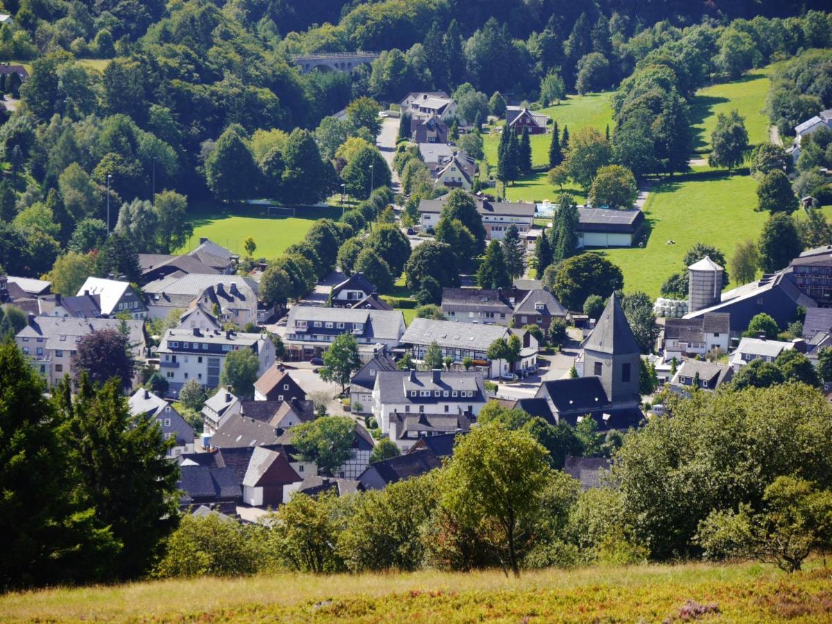 Fewo Blumes Bergfrieden Mit Meinecardplus Willingen  Exterior photo