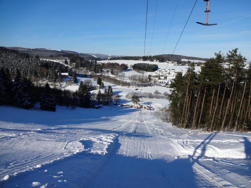 Fewo Blumes Bergfrieden Mit Meinecardplus Willingen  Exterior photo