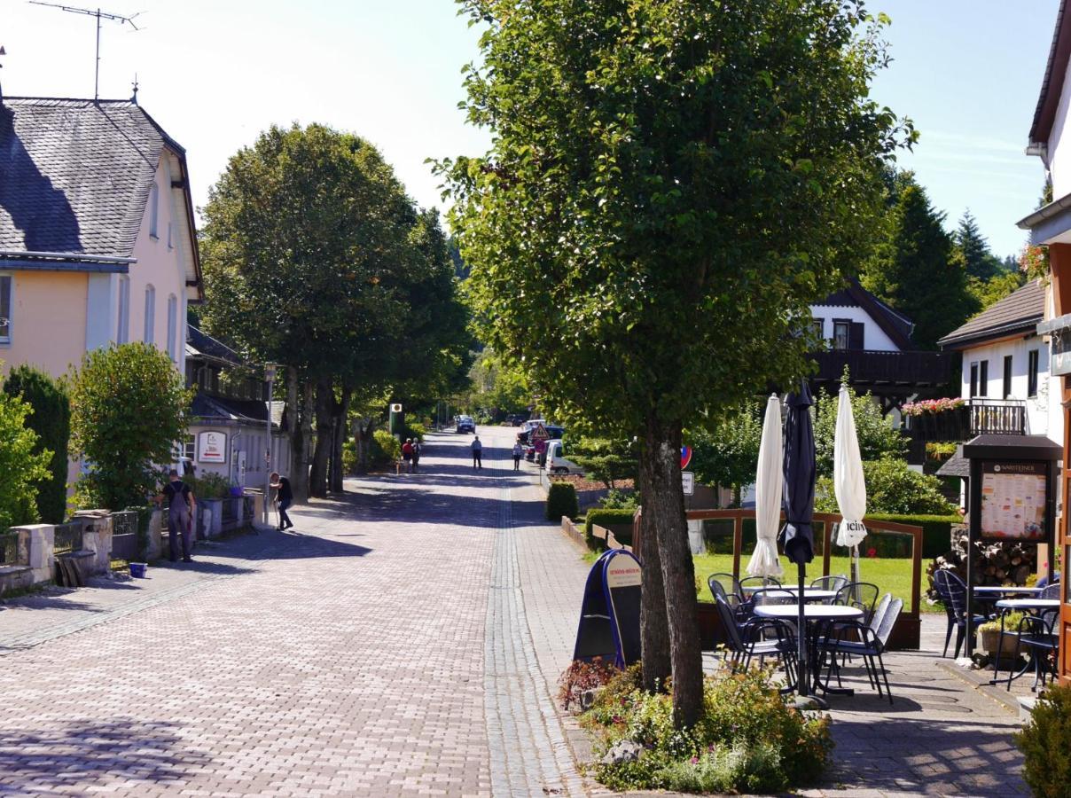 Fewo Blumes Bergfrieden Mit Meinecardplus Willingen  Exterior photo