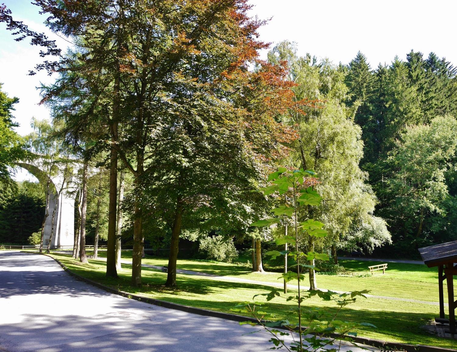Fewo Blumes Bergfrieden Mit Meinecardplus Willingen  Exterior photo